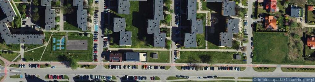 Zdjęcie satelitarne Zieleniak Gładysz Katarzyna