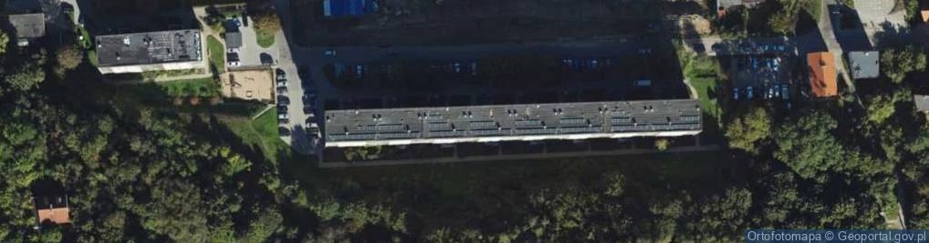 Zdjęcie satelitarne Złotnictwo Dobrolinska Aleksandra