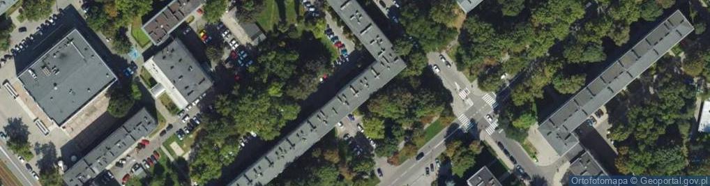Zdjęcie satelitarne Zofia Witek