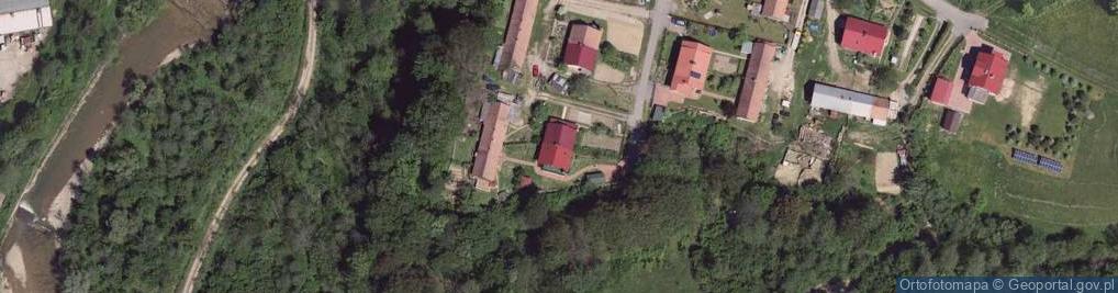 Zdjęcie satelitarne Zrywka Drewna z Lasu