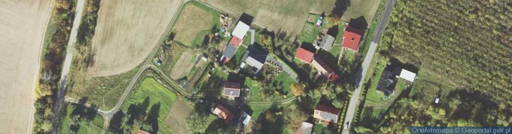 Zdjęcie satelitarne Zrywka Drewna