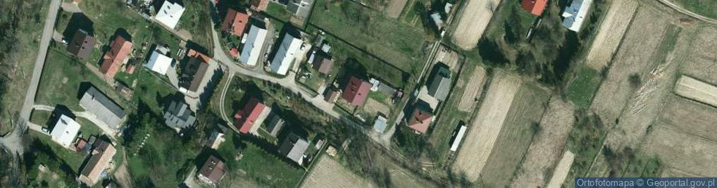 Zdjęcie satelitarne Zrywka Drewna