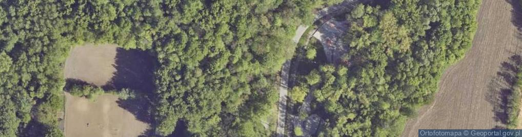 Zdjęcie satelitarne Żuchowicz Adam Amigo - Sprzęt Jeździecki