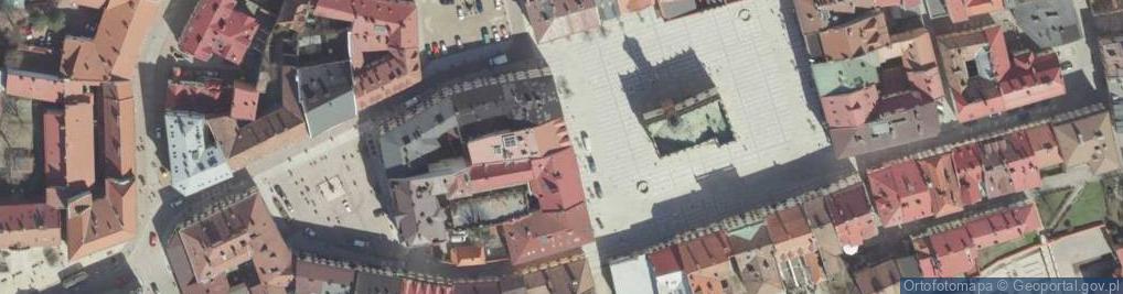 Zdjęcie satelitarne Związek Polskich Artystów Plastyków Okręg Tarnowski