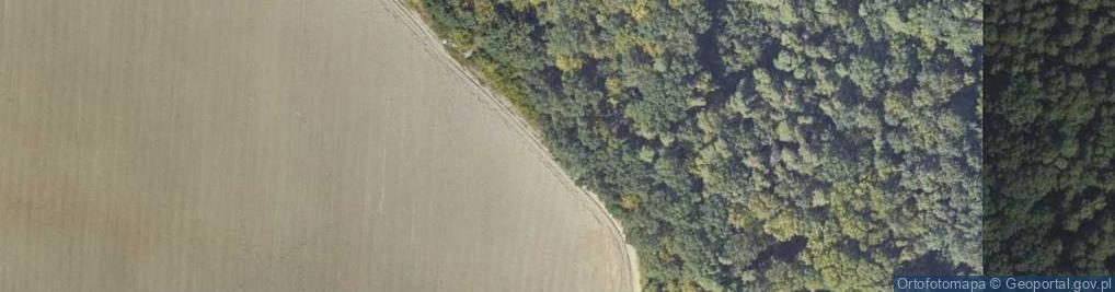 Zdjęcie satelitarne Ambona Myśliwska