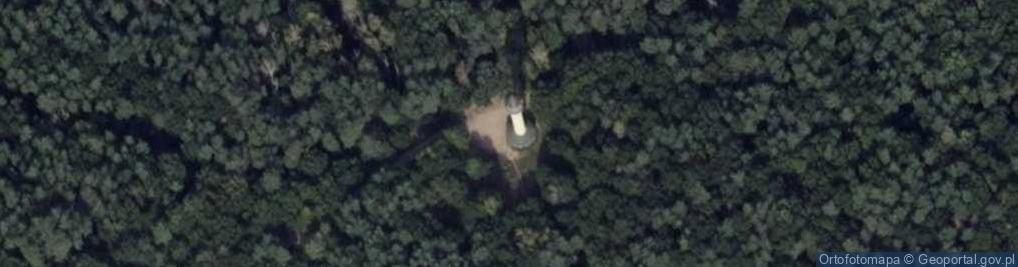 Zdjęcie satelitarne Dziewicza Góra - 143 mnpm