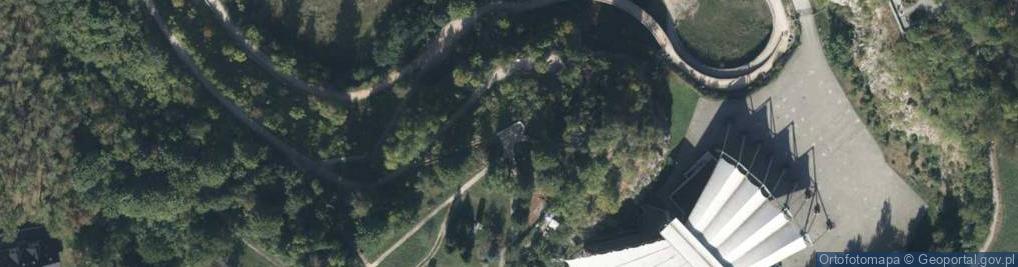 Zdjęcie satelitarne Taras widokowy