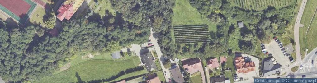 Zdjęcie satelitarne Wąwóz Królowej Jadwigi