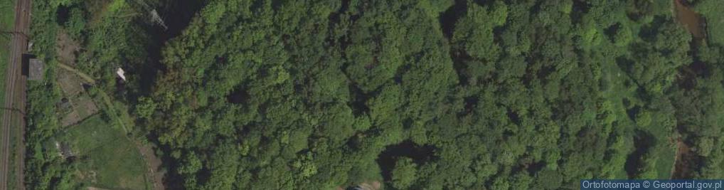 Zdjęcie satelitarne Wieża Krzywoustego Grzybek