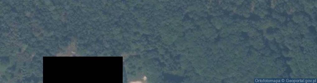 Zdjęcie satelitarne Wydmy