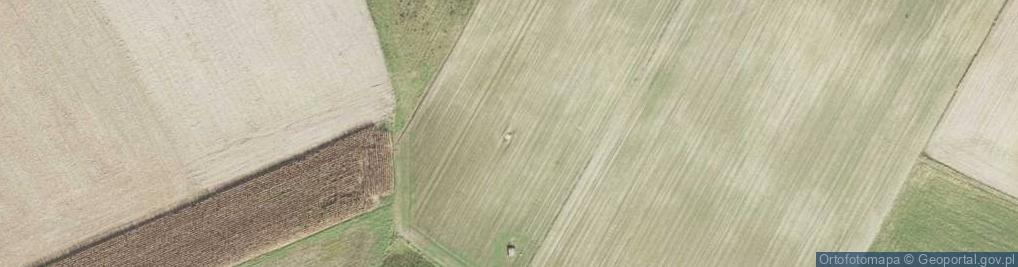 Zdjęcie satelitarne Działosze: FuMG-402 Wassermann M IV (Kemperstein)