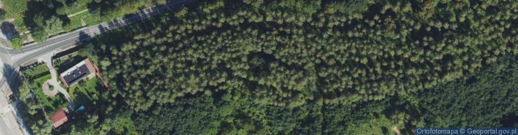 Zdjęcie satelitarne Elbląg: FuMG-62 Würzburg (Flak)