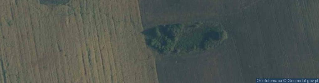 Zdjęcie satelitarne Goszyn: FuMG-65 Würzburg-Riese (Makrele II)