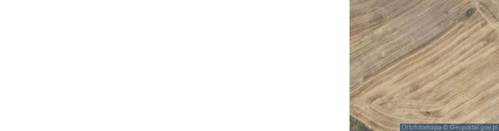 Zdjęcie satelitarne Rajd, Wyścig samochodowy