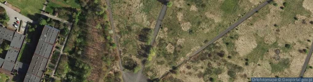 Zdjęcie satelitarne Rajd, Wyścig samochodowy