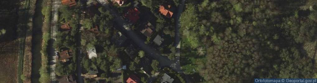 Zdjęcie satelitarne Izabela Bendyk