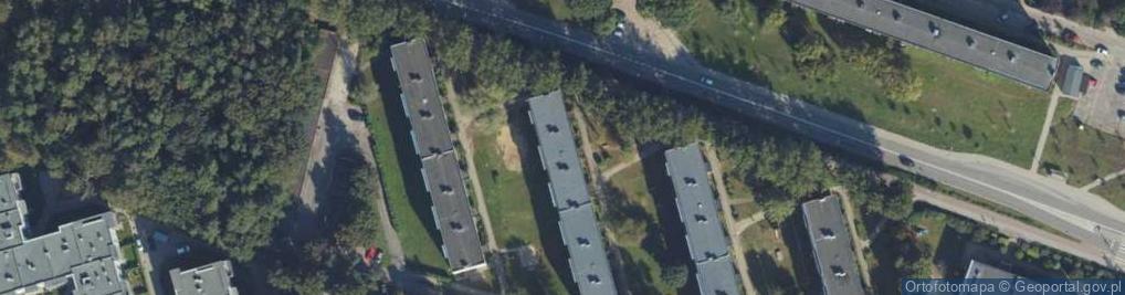 Zdjęcie satelitarne Marta Synoracka
