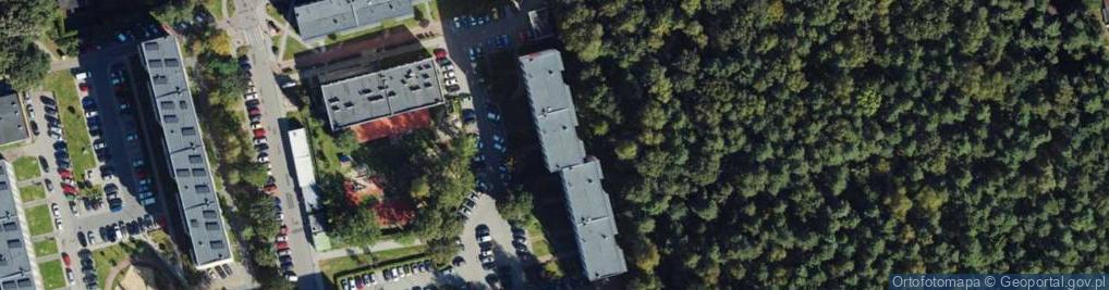 Zdjęcie satelitarne Monika Starzyk