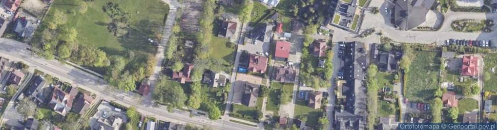 Zdjęcie satelitarne Babcia jest tu szefem