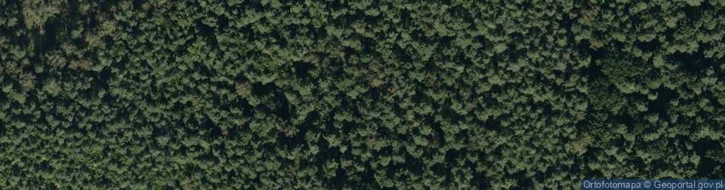 Zdjęcie satelitarne Rezerwat Bagno Przecławskie