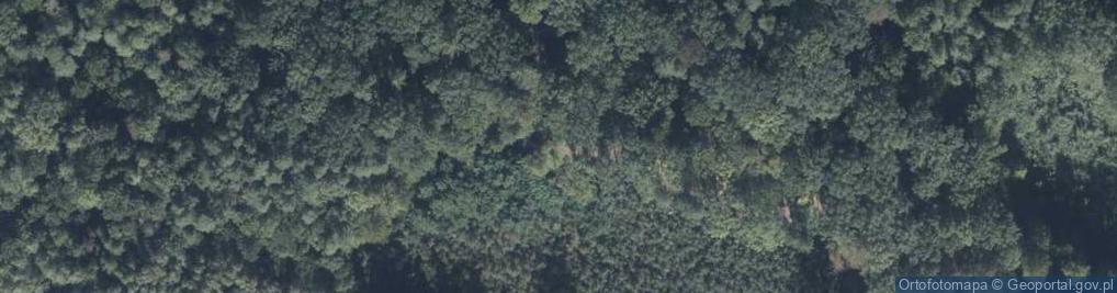 Zdjęcie satelitarne Rezerwat Bielawy