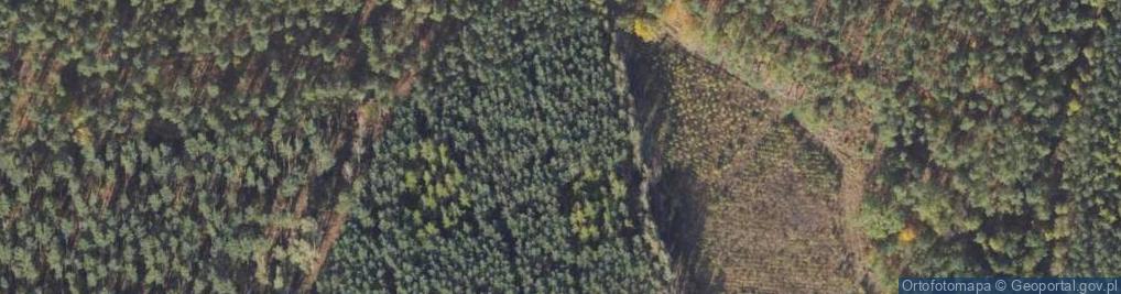 Zdjęcie satelitarne Rezerwat Borek