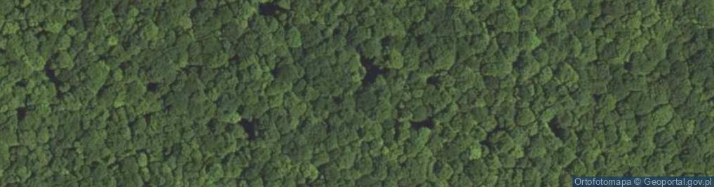 Zdjęcie satelitarne Rezerwat Bukowa Kepa