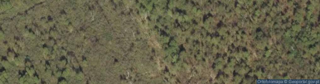 Zdjęcie satelitarne Rezerwat Cielętnik