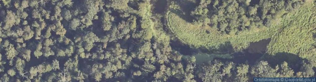 Zdjęcie satelitarne Rezerwat Czeszewo