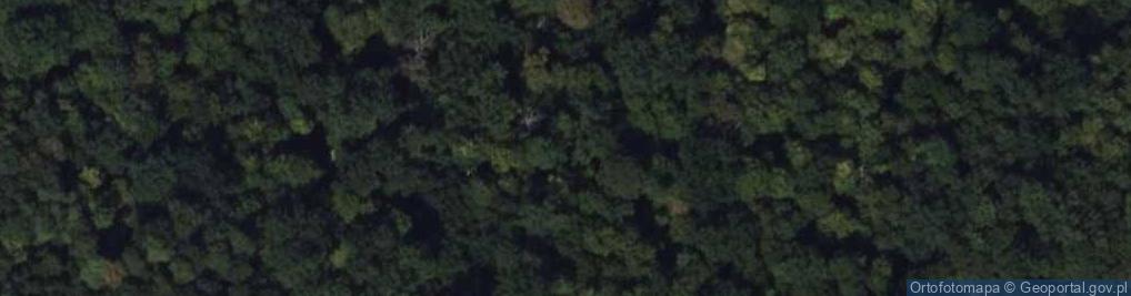 Zdjęcie satelitarne Rezerwat Dębina
