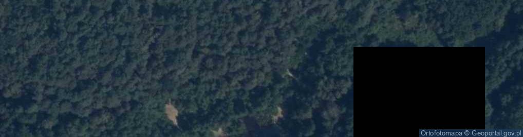 Zdjęcie satelitarne Rezerwat Dolina Skrwy
