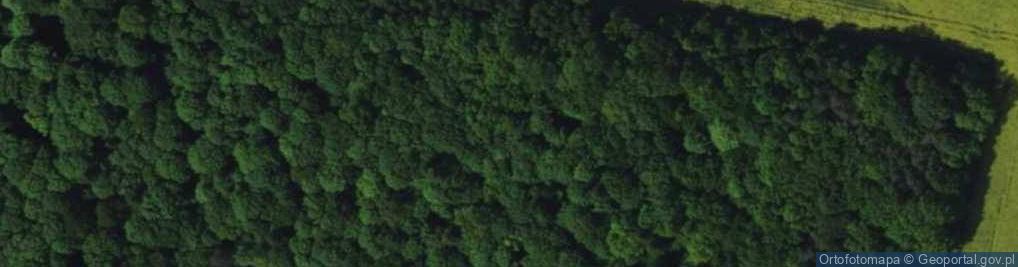 Zdjęcie satelitarne Rezerwat Góra Grojec