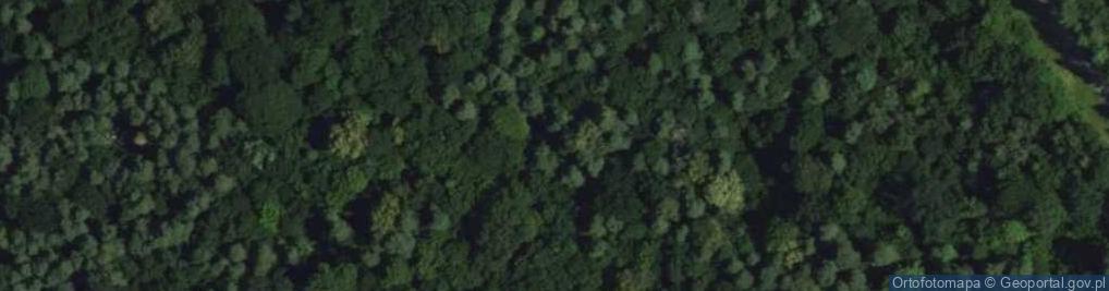 Zdjęcie satelitarne Rezerwat Hubert