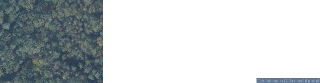 Zdjęcie satelitarne Rezerwat Huby Grzebieniskie