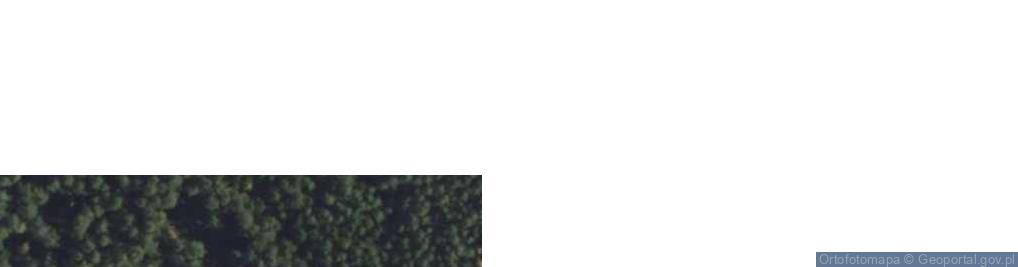 Zdjęcie satelitarne Rezerwat Jałówka