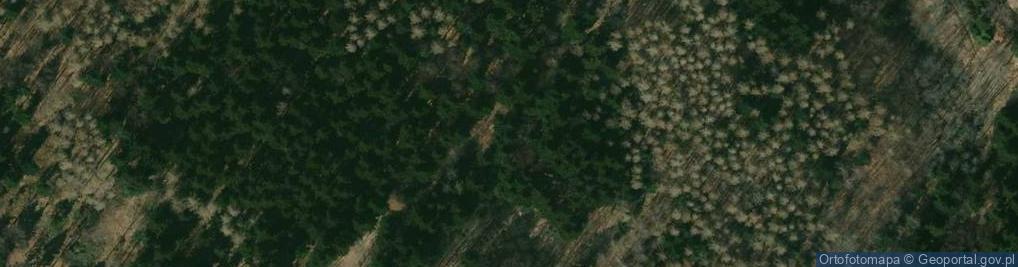 Zdjęcie satelitarne Rezerwat Kamera
