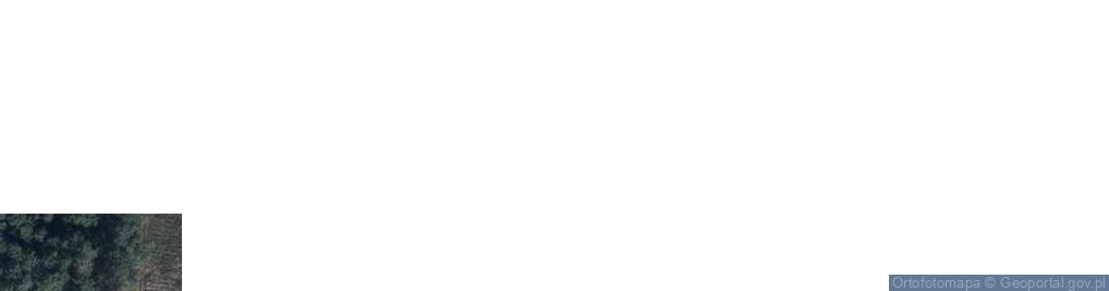 Zdjęcie satelitarne Rezerwat Las Wagramski
