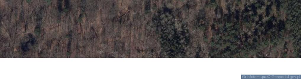 Zdjęcie satelitarne Rezerwat Laski