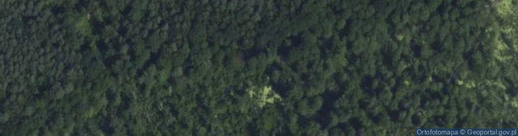 Zdjęcie satelitarne Rezerwat Młochowski Łęg