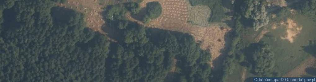 Zdjęcie satelitarne Rezerwat Mszary Tuczyńskie