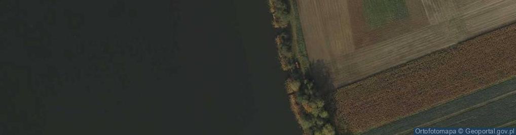 Zdjęcie satelitarne Rezerwat Nadgoplański Park Tysiąclecia
