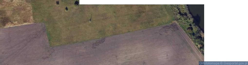 Zdjęcie satelitarne Rezerwat Nadgoplański Park Tysiąclecia