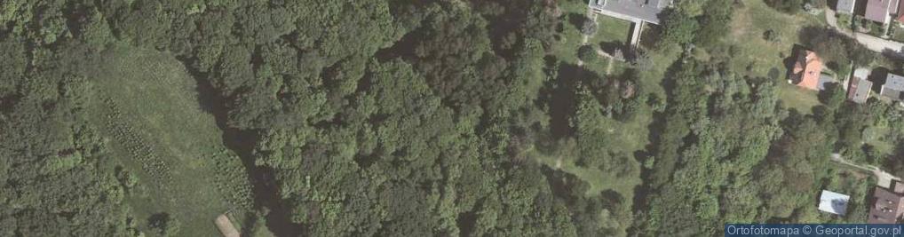 Zdjęcie satelitarne Rezerwat Panieńskie Skały