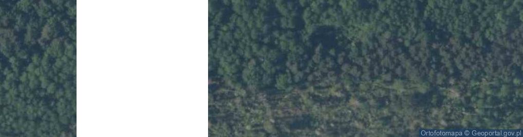 Zdjęcie satelitarne Rezerwat Radomice