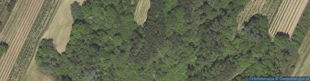 Zdjęcie satelitarne Rezerwat Skarpa Dobrska