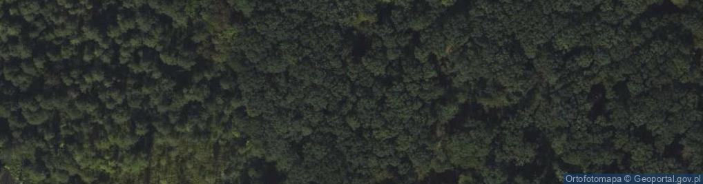 Zdjęcie satelitarne Rezerwat Stary Zagaj