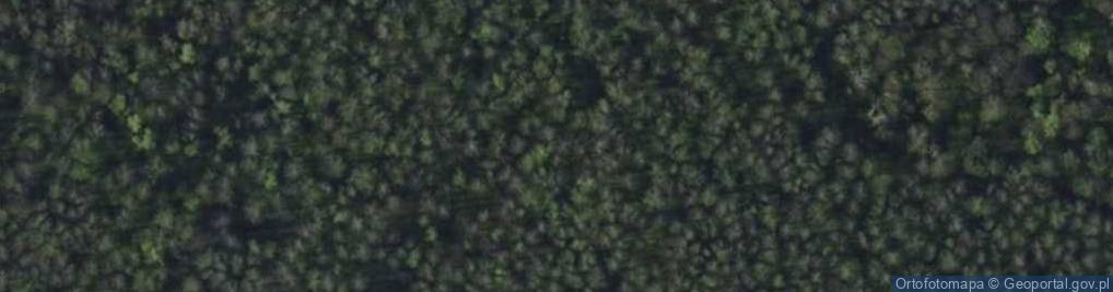 Zdjęcie satelitarne Rezerwat Wolbórka