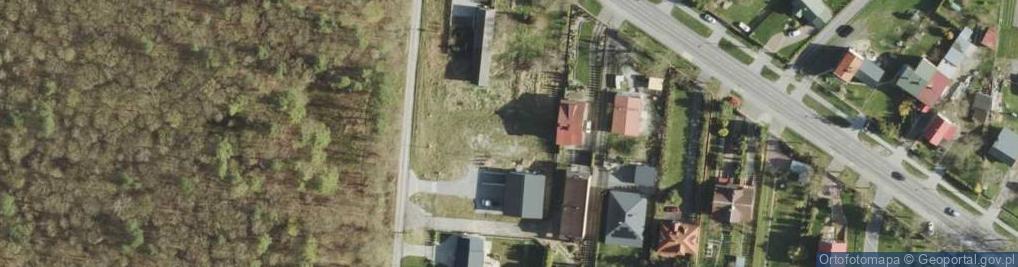 Zdjęcie satelitarne Rezerwat Wolwinów
