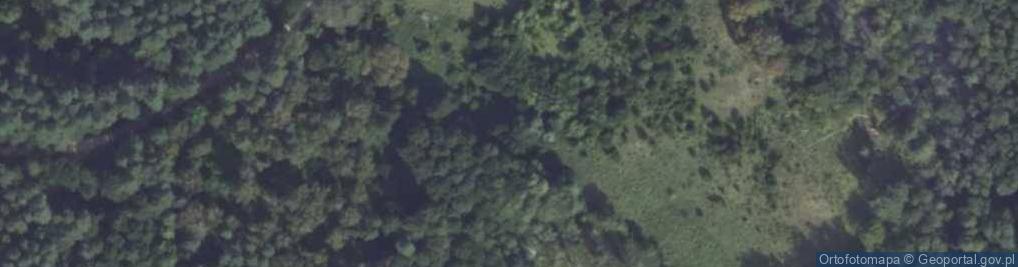 Zdjęcie satelitarne Rezerwat Źródła Rzeki Łyny im. prof. Romana Kobendzy