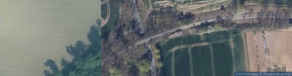 Zdjęcie satelitarne Trasa rowerowa R20 Trzcińsko Zdrój – Siekierki (granica)